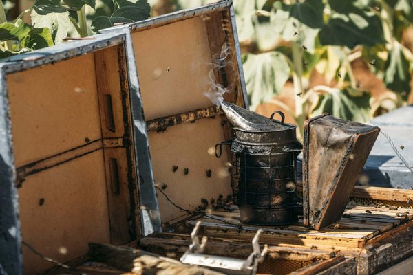 How often should I inspect the electrical wiring harness on a Harley-Davidson Electra Glide for wear?